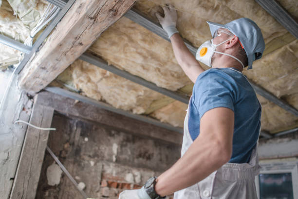 Insulation Repair Services in Somerset, MD