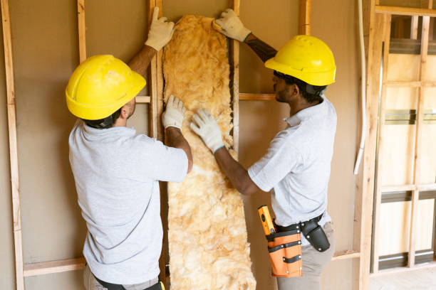 Best Insulation Contractor Near Me  in Somerset, MD