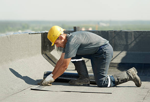 Best Cellulose Insulation  in Somerset, MD